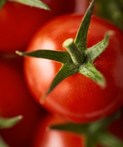 BN_Looye_Whole_Tomatoes_Topdown_V1